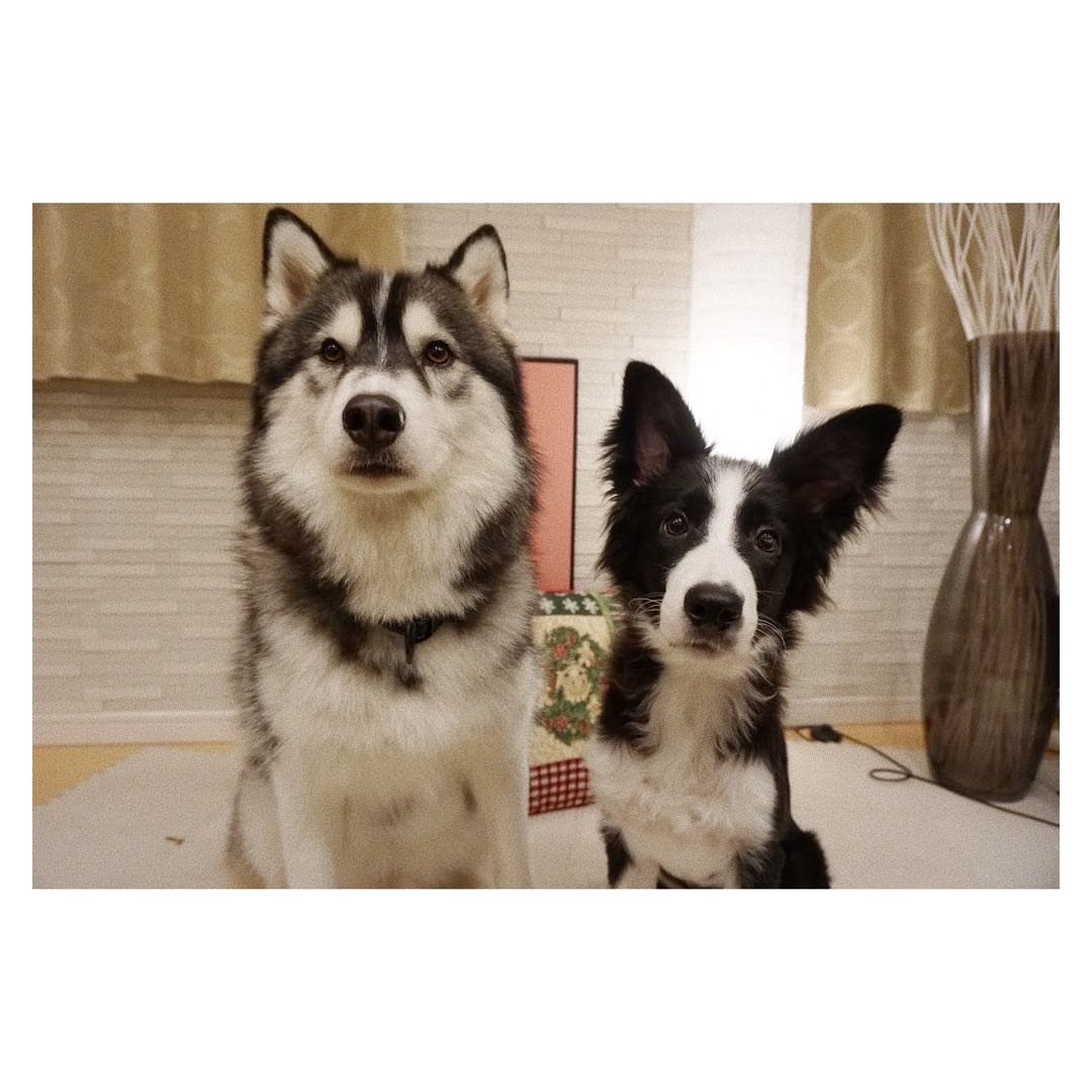 First blog…..