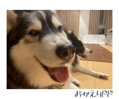 ドド帰ってきました！！！