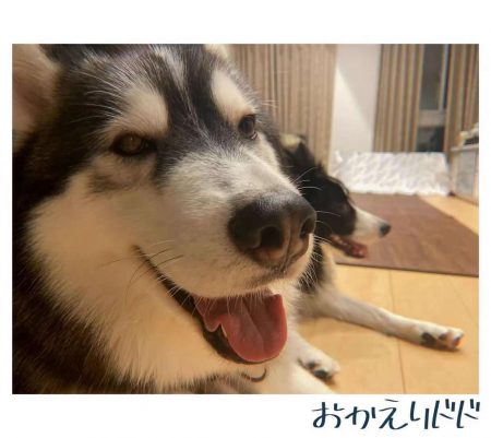 ドド帰ってきました！！！