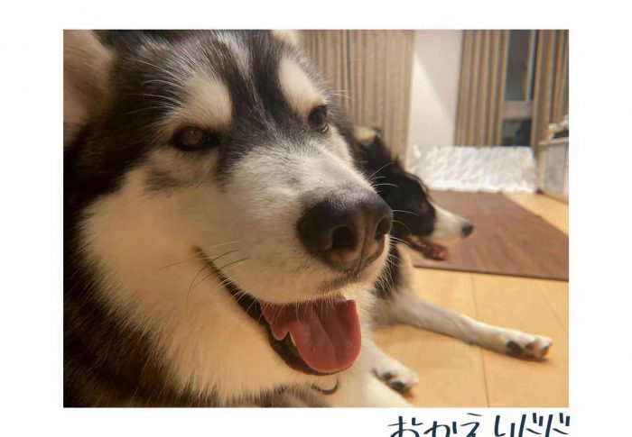ドド帰ってきました！！！